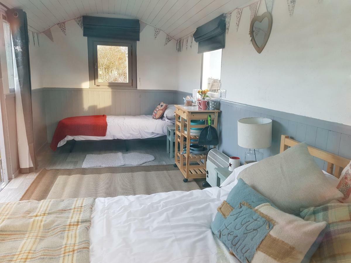 לנטוויט מייג'ור Acorn Camping And Caravan Park מראה חיצוני תמונה